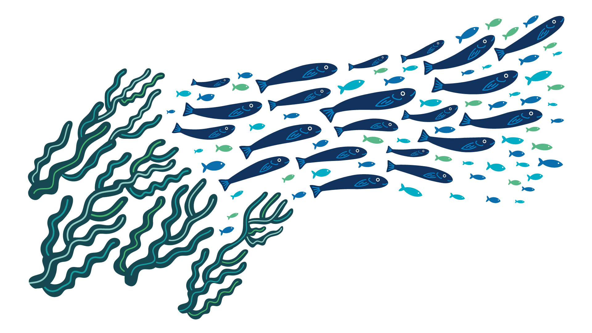 christine-eberhardt-exposition-circular-economy-swarm-fish-sea-waste-illustration-04b