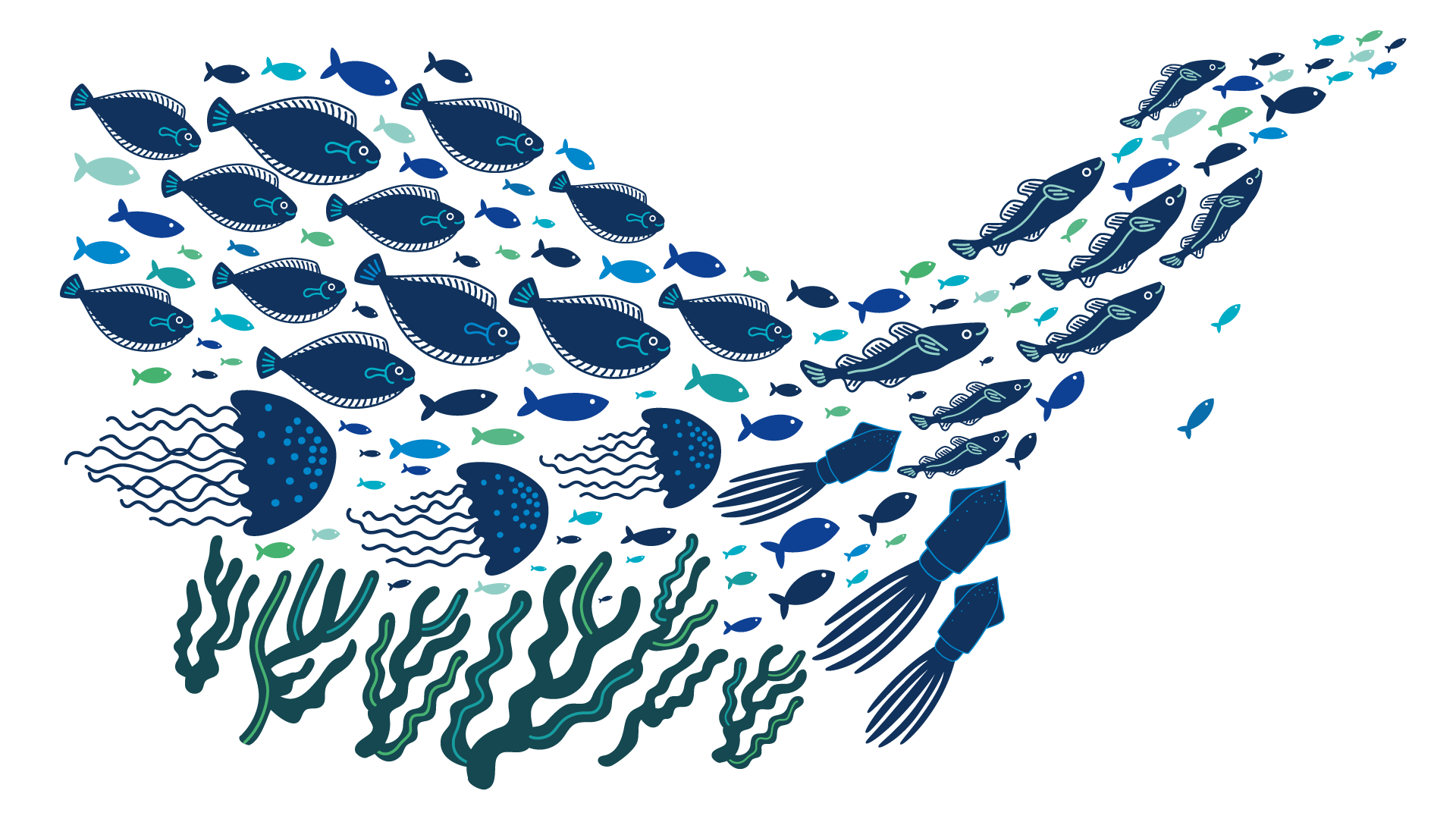 christine-eberhardt-exposition-circular-economy-swarm-fish-sea-waste-illustration-05b