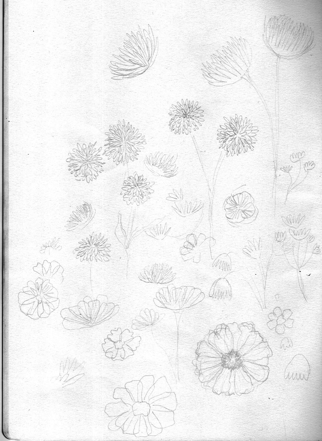 christine-eberhardt-pattern-design-nightgarden-sketches-02