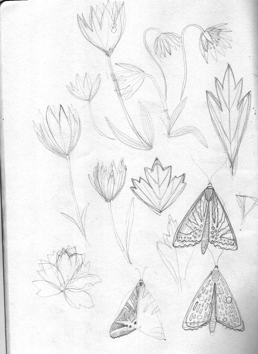 christine-eberhardt-pattern-design-nightgarden-sketches-03